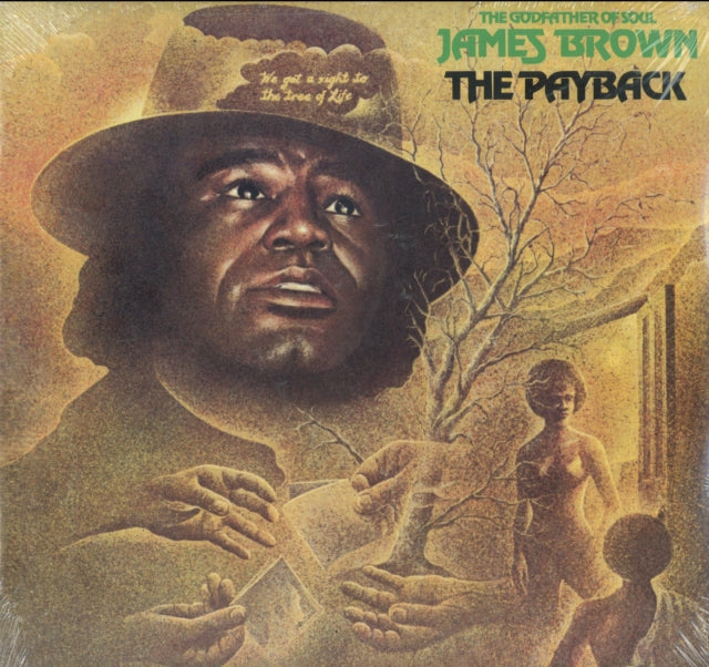 BROWN, JAMES | PAYBACK | VINYL RECORD (LP)