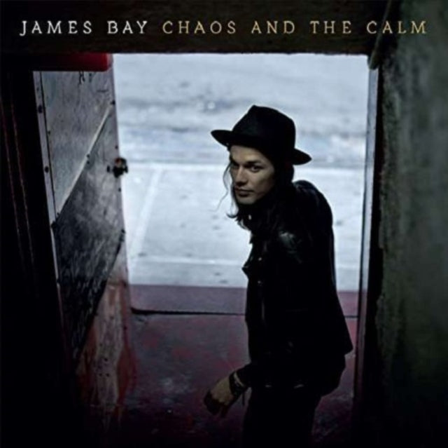 BAY, JAMES | CHAOS & THE CALM | VINYL RECORD (LP)