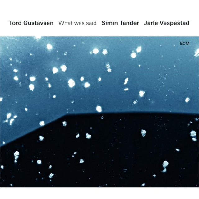 GUSTAVSEN, TORD | WHAT WAS SAID | VINYL RECORD (LP)
