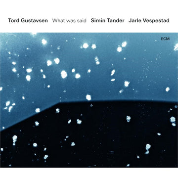 GUSTAVSEN, TORD | WHAT WAS SAID | VINYL RECORD (LP)