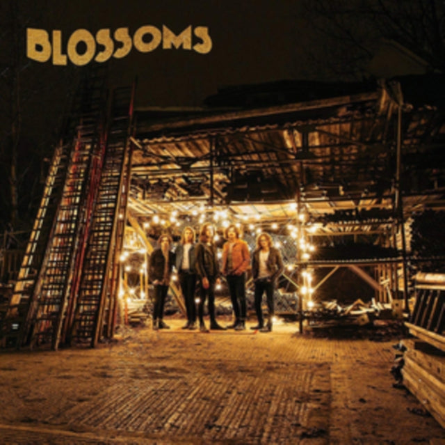 BLOSSOMS | BLOSSOMS | VINYL RECORD (LP)