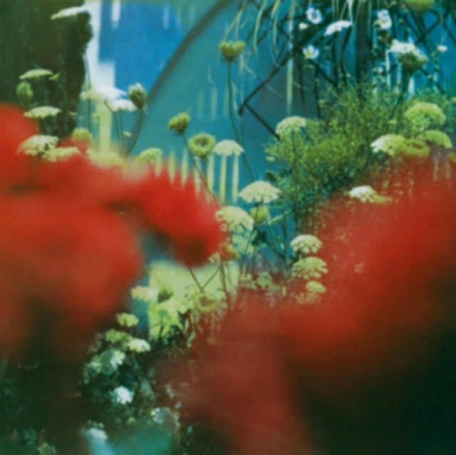 PULLED APART BY HORSES | HAZE (GREEN VINYL/LIMITED) | VINYL RECORD (LP)
