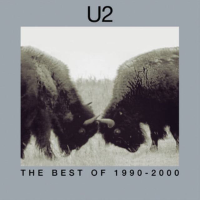 U2 | BEST OF 1990-2000 (2LP) | VINYL RECORD (LP)