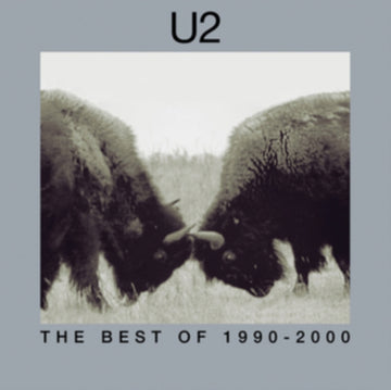 U2 | BEST OF 1990-2000 (2LP) | VINYL RECORD (LP)