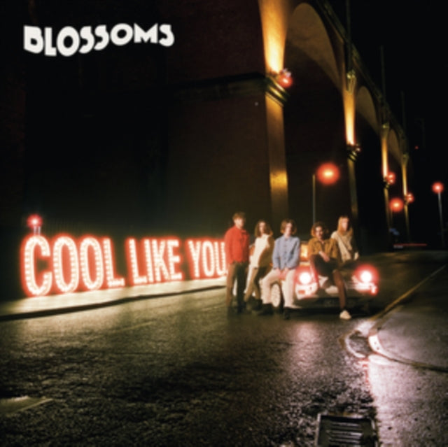 BLOSSOMS | COOL LIKE YOU | 12IN VINYL