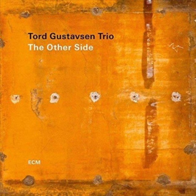 GUSTAVSEN, TORD TRIO | OTHER SIDE (LP) | VINYL RECORD (LP)