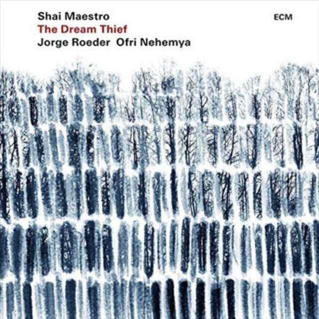 MAESTRO, SHAI | DREAM THIEF | VINYL RECORD (LP)