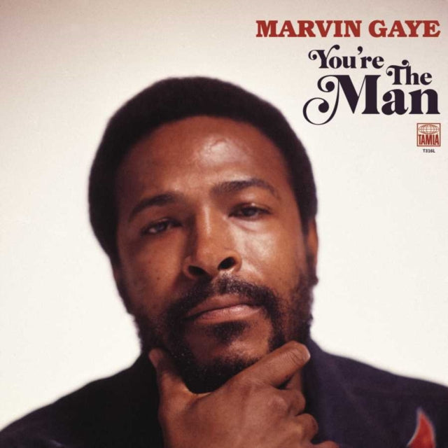 GAYE, MARVIN | YOU'RE THE MAN (2 LP) | VINYL RECORD (LP)