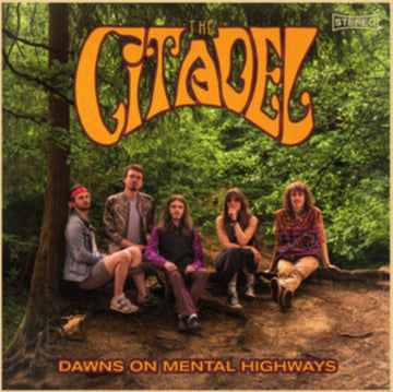 DAWNS ON MENTAL HIGHWAYS | VINYL RECORD (LP)