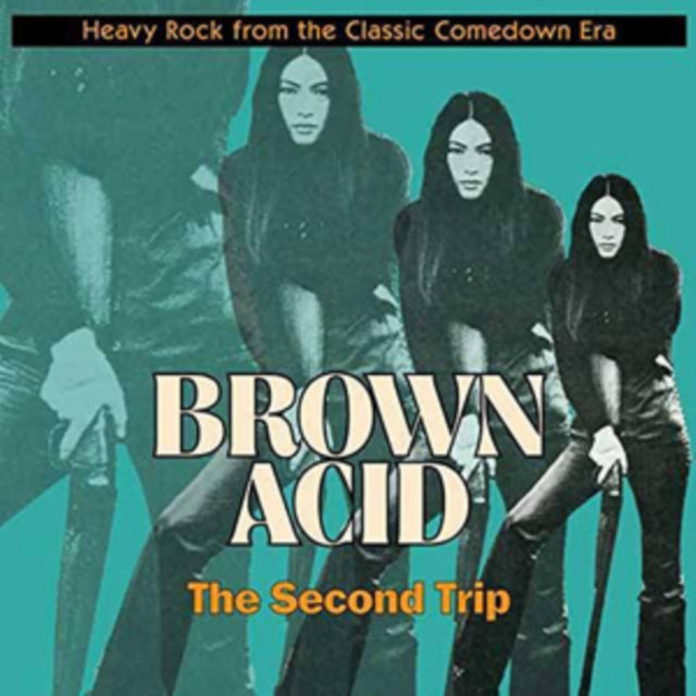VARIOUS ARTISTS | BROWN ACID: THE SECOND TRIP | VINYL RECORD (LP)
