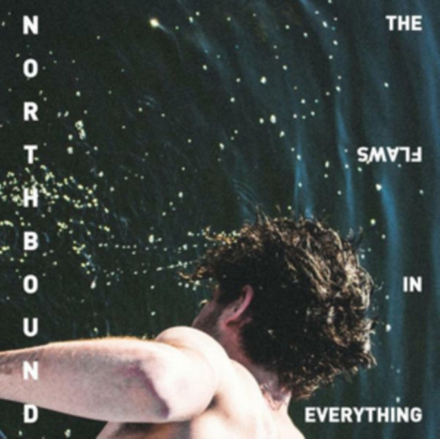 NORTHBOUND | FLAWS IN EVERYTHING | VINYL RECORD (LP)