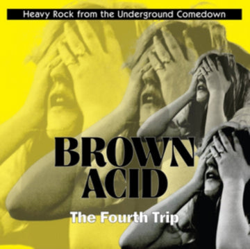 VARIOUS ARTISTS | BROWN ACID: THE FOURTH TRIP | VINYL RECORD (LP)