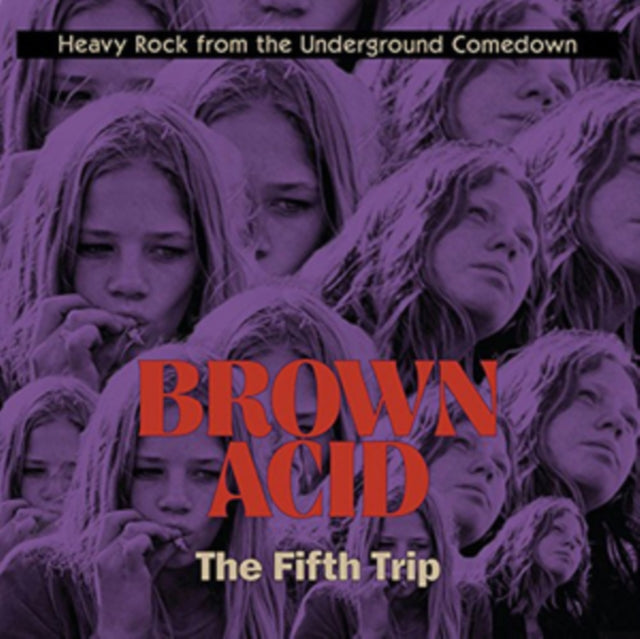 VARIOUS ARTISTS | BROWN ACID: THE FIFTH TRIP | VINYL RECORD (LP)