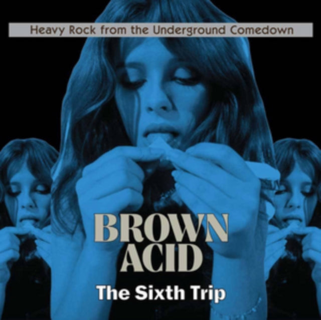 VARIOUS ARTISTS | BROWN ACID: THE SIXTH TRIP | VINYL RECORD (LP)