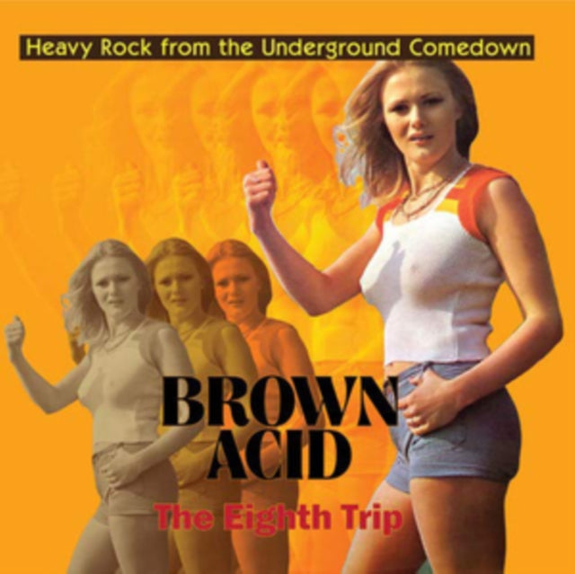 VARIOUS ARTISTS | BROWN ACID: THE EIGHTH TRIP | VINYL RECORD (LP)