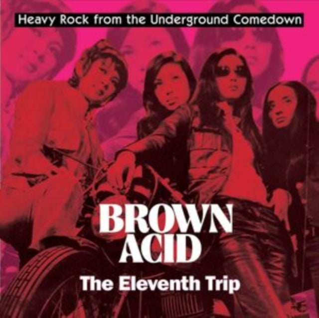 VARIOUS ARTISTS | BROWN ACID: THE ELEVENTH TRIP | VINYL RECORD (LP)
