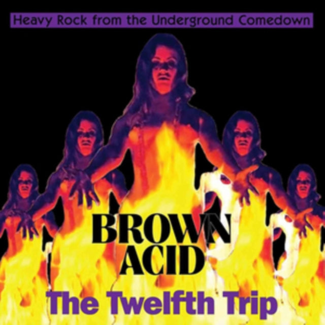 VARIOUS ARTISTS | BROWN ACID: THE TWELFTH TRIP | VINYL RECORD (LP)