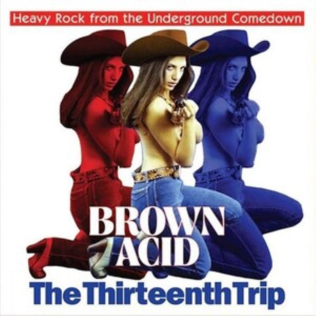 VARIOUS ARTISTS | BROWN ACID: THE THIRTEENTH TRIP | VINYL RECORD (LP)