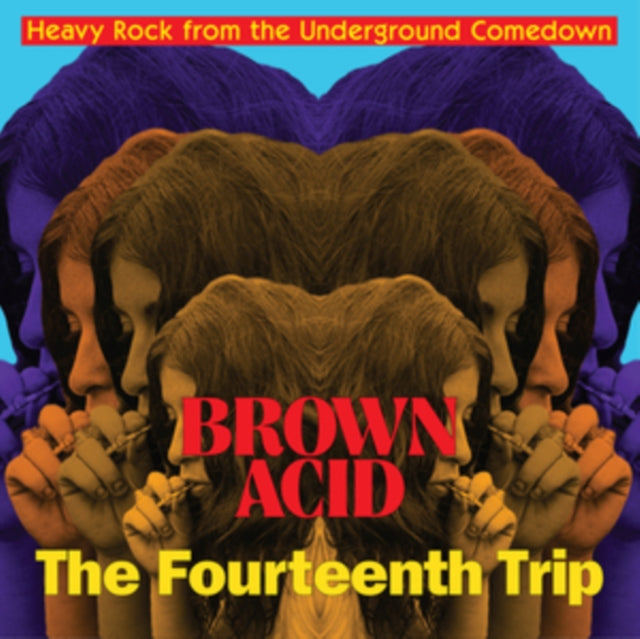 VARIOUS ARTISTS | BROWN ACID: THE FOURTEENTH TRIP | VINYL RECORD (LP)