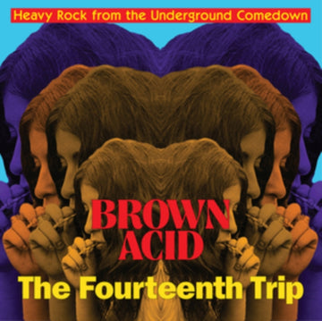VARIOUS ARTISTS | BROWN ACID: THE FOURTEENTH TRIP | VINYL RECORD (LP)