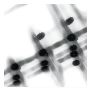 40:13.5 | VINYL RECORD (LP)