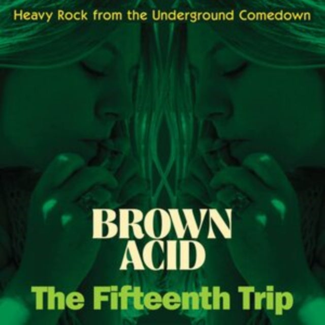 VARIOUS ARTISTS | BROWN ACID: THE FIFTEENTH TRIP | VINYL RECORD (LP)