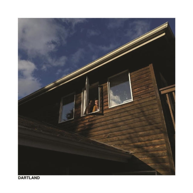 WORST PARTY EVER | DARTLAND | VINYL RECORD (LP)