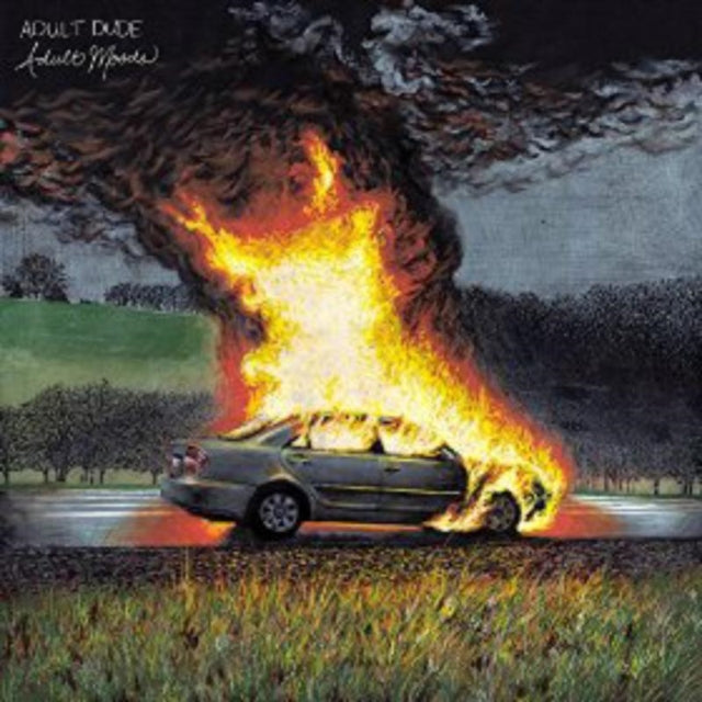 ADULT DUDE | ADULT MOODS | VINYL RECORD (LP)