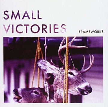 FRAMEWORKS | SMALL VICTORIES | 7IN VINYL