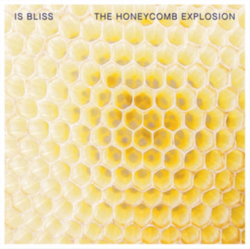 HONEYCOMB EXPLOSION EP (MULTICOLORED SPLATTER VINYL) | VINYL RECORD (LP)