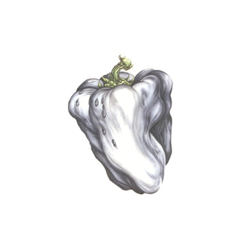 WHITE PEPPER (GREEN VINYL) | VINYL RECORD (LP)