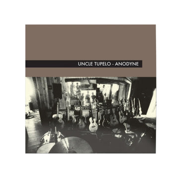 ANODYNE | VINYL RECORD (LP)