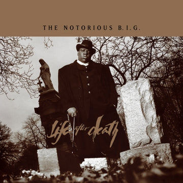 NOTORIOUS B.I.G. | LIFE AFTER DEATH (25TH ANNIVERSARY SUPER DELUXE EDITION/8LP) | VINYL RECORD (LP)