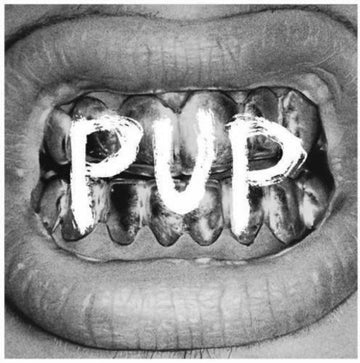 PUP | PUP (5TH ANNNIVERSARY PICTURE DISC) | VINYL RECORD (LP)