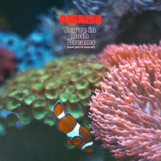 PAERISH | YOU'RE IN BOTH DREAMS (& YOU'RE SCARED) | VINYL RECORD (LP)
