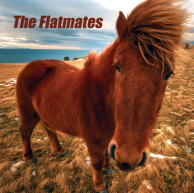 FLATMATES | FLATMATES | VINYL RECORD (LP)