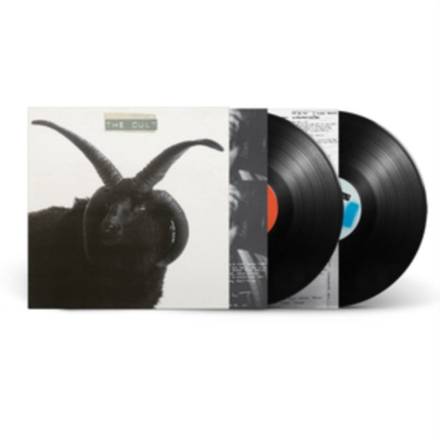 CULT | CULT (2LP) | VINYL RECORD (LP)