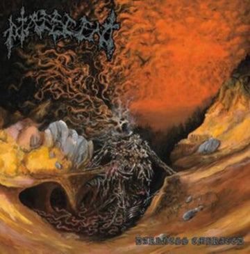 DARKNESS EMBRACED | VINYL RECORD (LP)