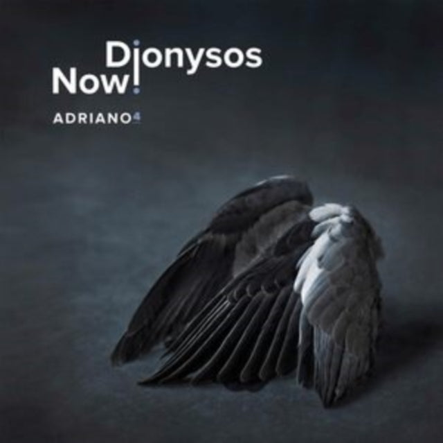 DIONYSOS NOW! | ADRIANO 4 | VINYL RECORD (LP)