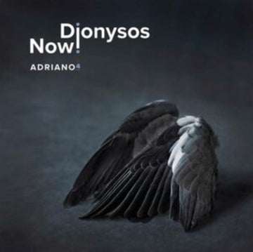 DIONYSOS NOW! | ADRIANO 4 | VINYL RECORD (LP)