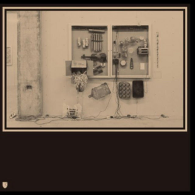 VAN TIEGHEM, DAVID | FITS & STARTS | VINYL RECORD (LP)