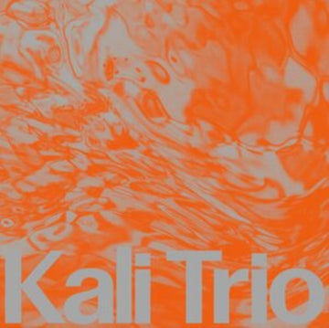 PLAYFUL ABSTRACT | VINYL RECORD (LP)