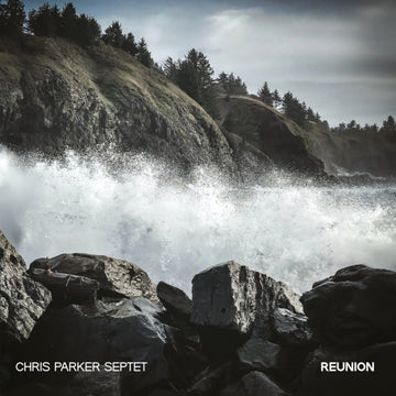 REUNION | VINYL RECORD (LP)