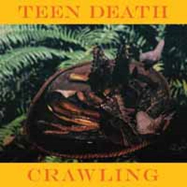 TEEN DEATH | CRAWLING | 7IN VINYL