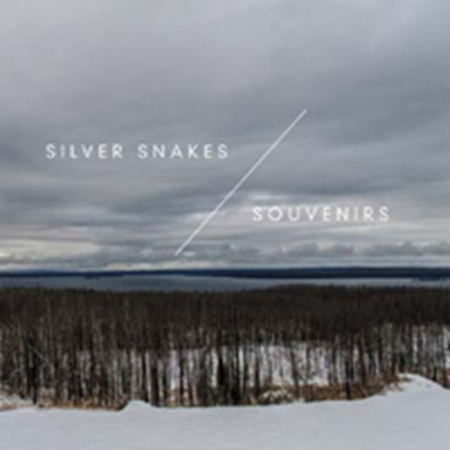 SILVER SNAKES / SOUVENIRS | WINTER SONGS | 7IN VINYL