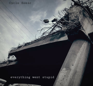 CYCLO-SONIC | EVERYTHING WENT STUPID | VINYL RECORD (LP)