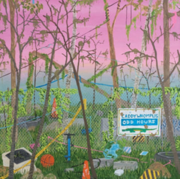 CADDYWHOMPUS | ODD HOURS | VINYL RECORD (LP)