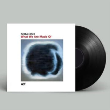 WHAT WE ARE MADE OF | VINYL RECORD (LP)