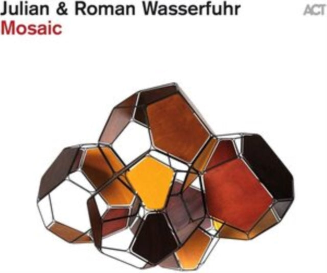 JULIAN & ROMAN WASSERFUHR | MOSAIC | VINYL RECORD (LP)