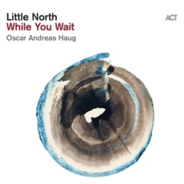 LITTLE NORTH | WHILE YOU WAIT | VINYL RECORD (LP)